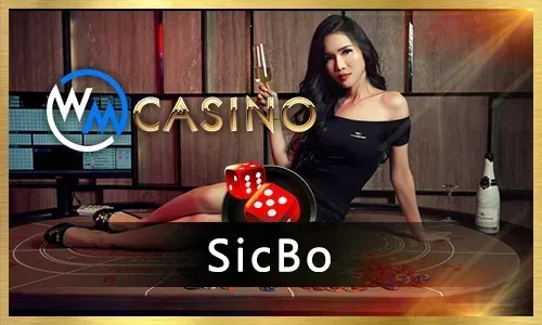 Bingo Plus Game